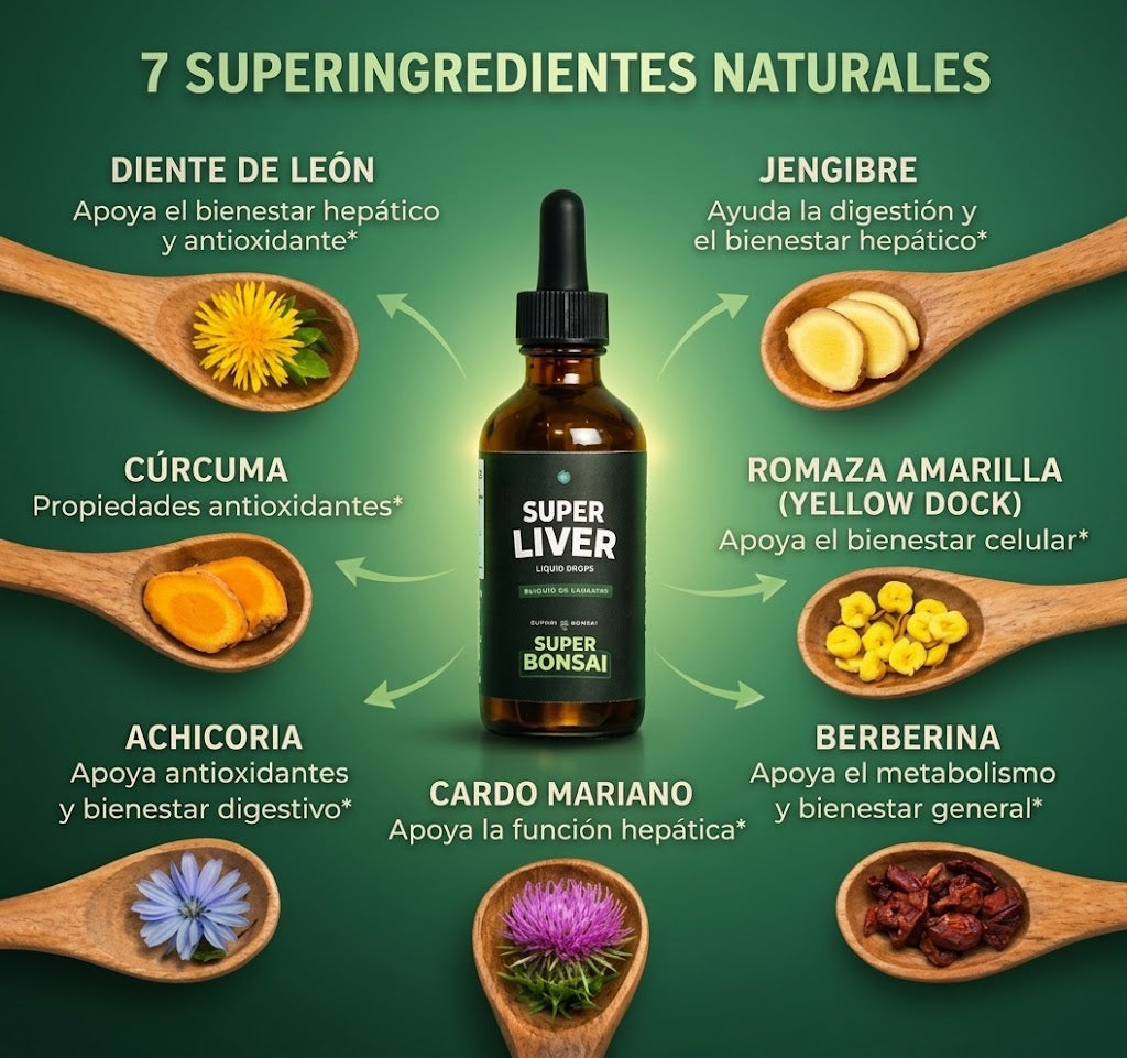 LiverBonsai: Apoyo Hepático Diario